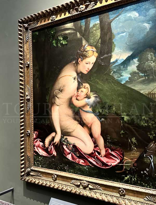 Brera painting gallery and district guided tour